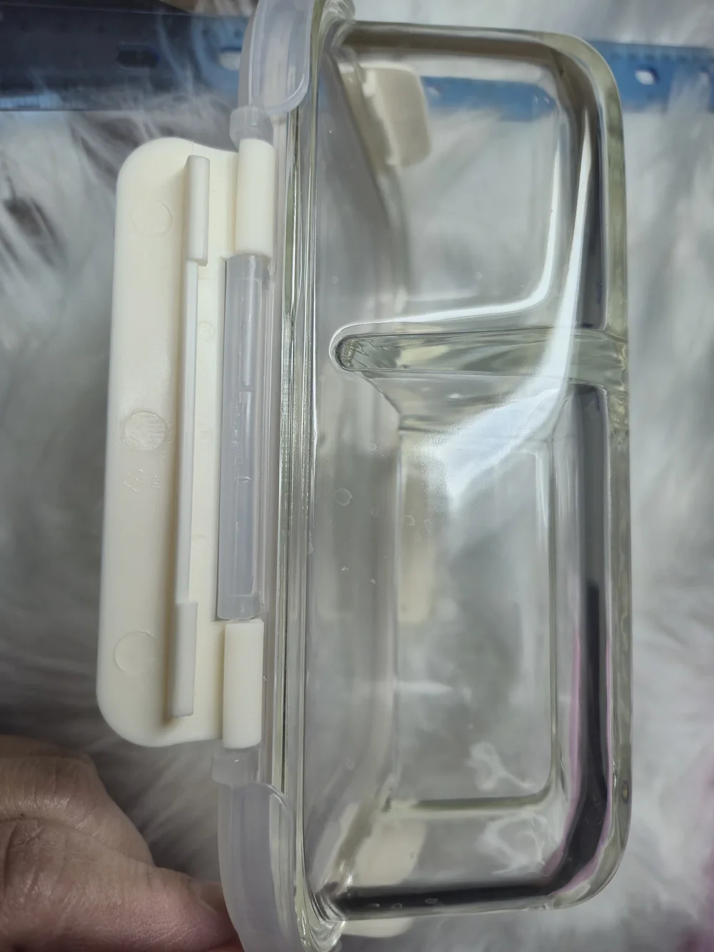 Glass Food Storage Container with White Snap Lid - Home Storage & Organization